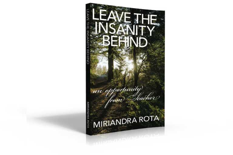 Leave the Insanity Behind Book