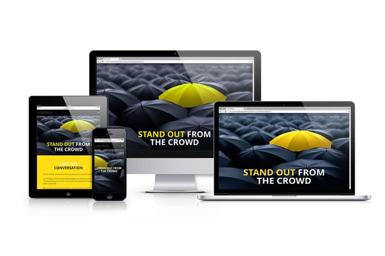 Rubin & Co Website